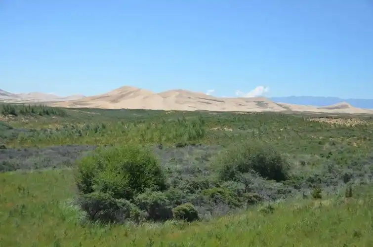 青海:"绿进沙退"背后的"双缩减" ——青海省探索高寒区荒漠化防治法则