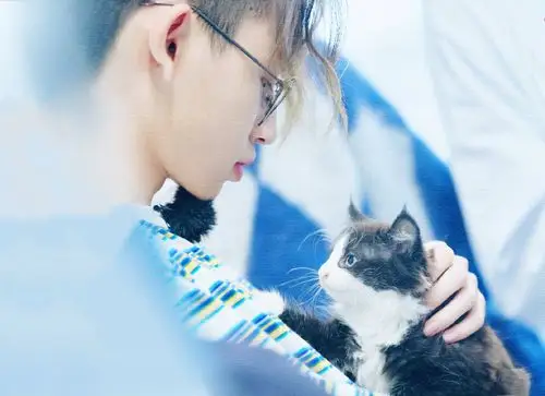 小鬼王琳凯青春的花路