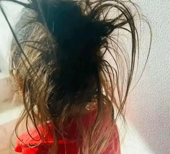 爸爸带娃,野到头皮发麻