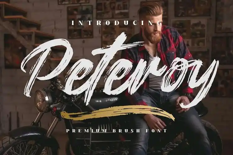 中国风水墨毛笔英文字体设计