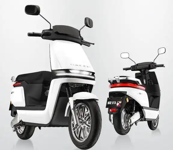 电动车哪个牌子好续航时间长性价比高的两轮电动车