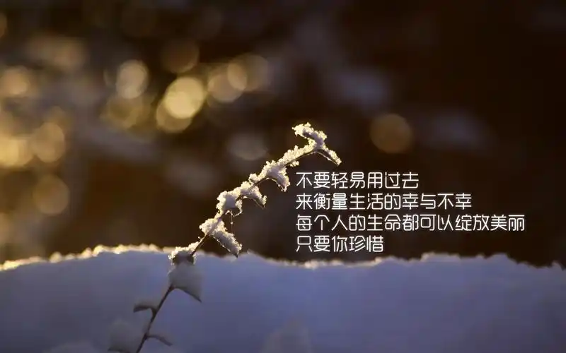惜唯美语录懂得珍亮光雪景电脑桌面壁纸下载