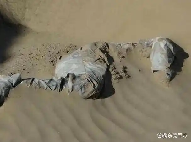 罗布泊惊现一具神秘尸骨,警方破案后大惊:竟是失踪58年的功臣!