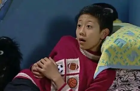 刘星 表情包 家有儿女