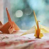 表示千纸鹤的图片大全唯美【点击鼠标右键下载】
