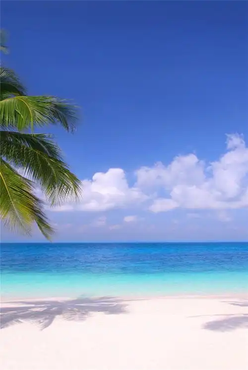 海滩风景装饰画