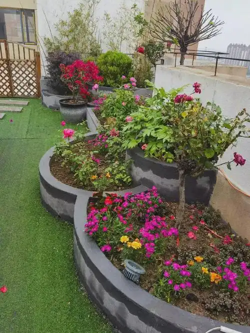 绿植|红花|花池|庭院|绿色植物_网易订阅