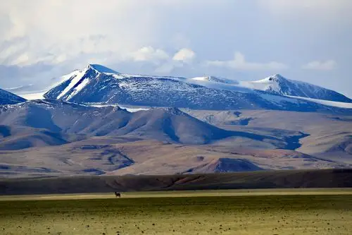 走进西藏(4)……精灵的乐园～藏北羌塘/可可西里无人区