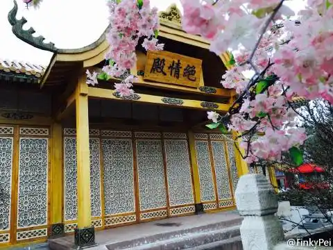 花千骨中的绝情殿