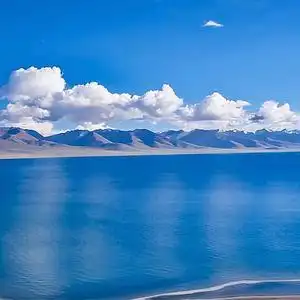 碧海蓝天·lure头像