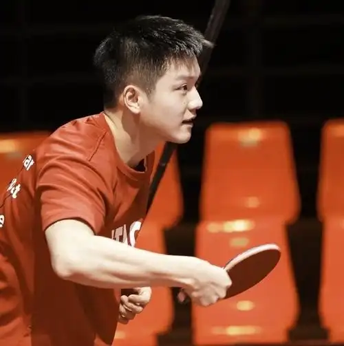 进来就看一些樊振东选手的肌肉图解