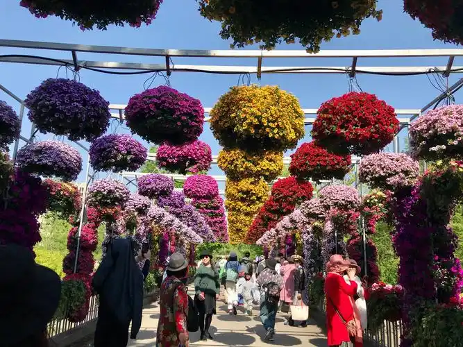 上海植物园公园花展