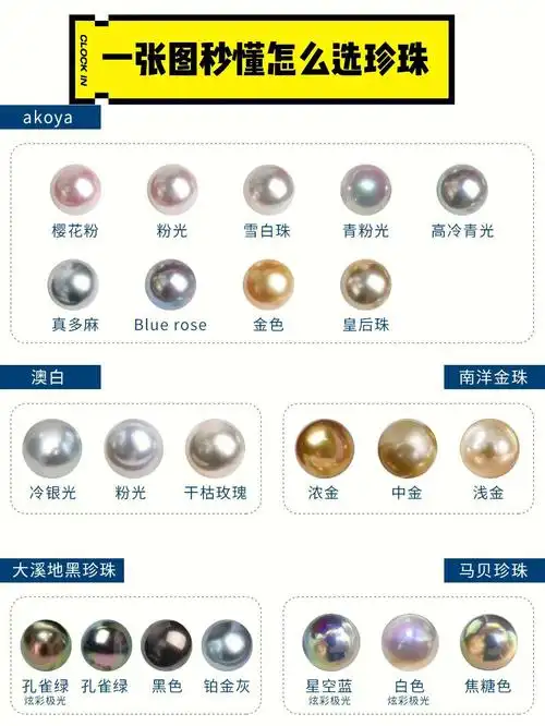一张图教您珍珠入门到专业必看知识