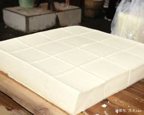 花甲除了做花甲粉,还可以搭配豆腐这样吃,清甜很解渴