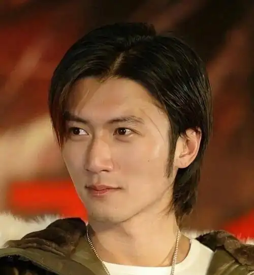 当时的谢霆锋是现在所有小鲜肉加起来也比不上的,他16岁出道,19岁便火