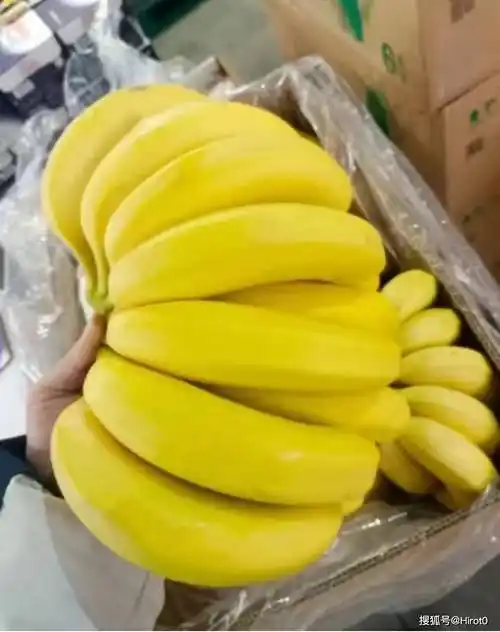 菲律宾香蕉进口报关清关指南