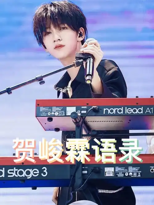 贺峻霖语录part9