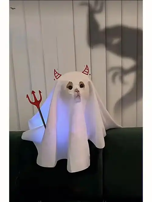 哇这是什么鬼我可以申请做你的可爱鬼