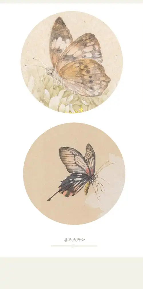 一组没骨蝴蝶(附蝴蝶出现过程)