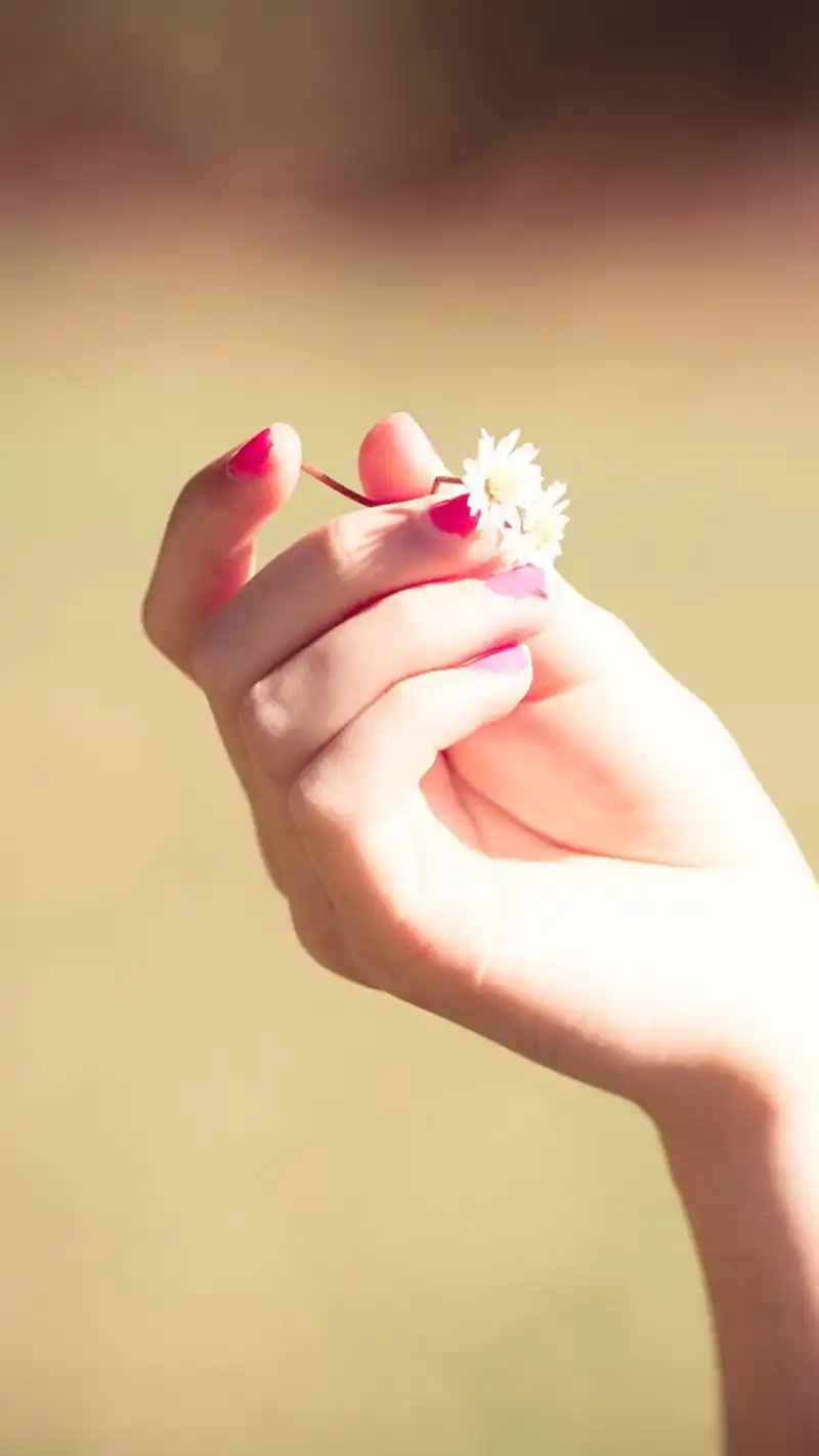 唯美意境手中小花高清图片手机壁纸