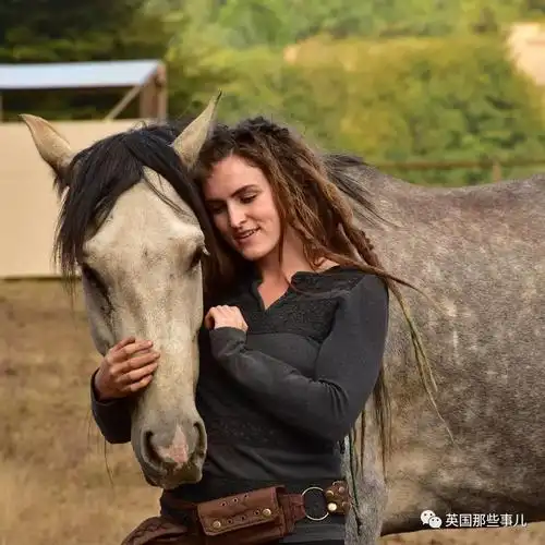 马的几把为什么那么长动物中的马长度有几尺