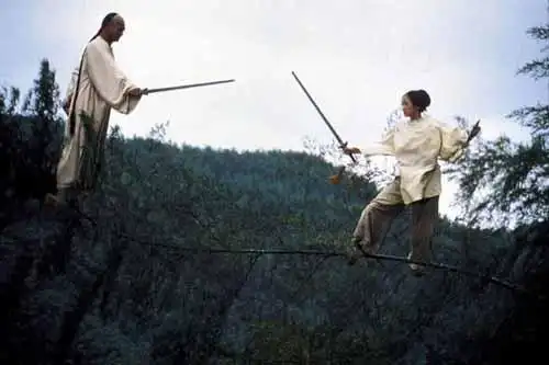 李安的竹林打斗重意境而非武功--《卧虎藏龙》