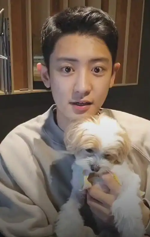 朴灿烈直播素颜状态