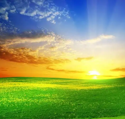 蓝天白云下的薰衣草庄园