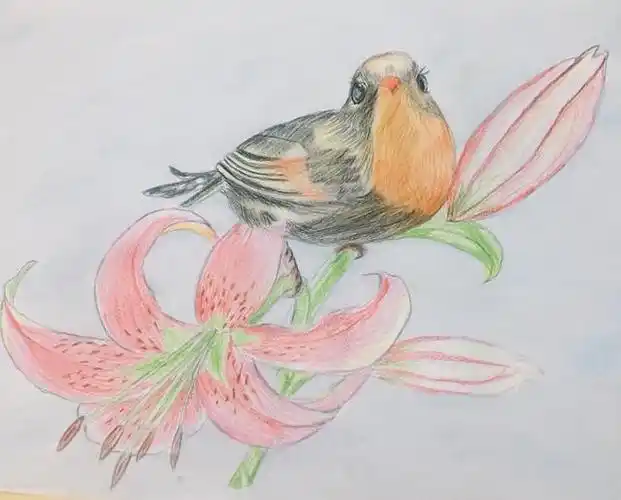 彩铅花鸟