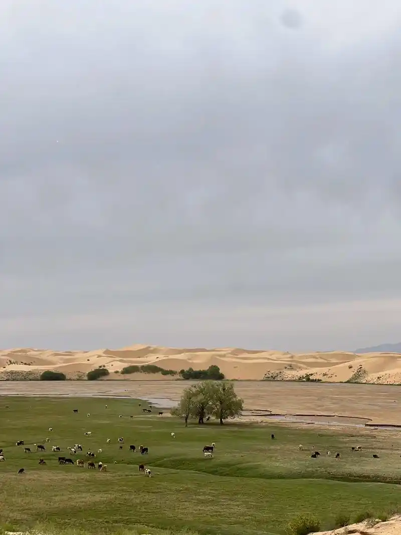 库布齐沙漠73 柴登草原73 捉鳖湾73 独贵塔 - 抖音
