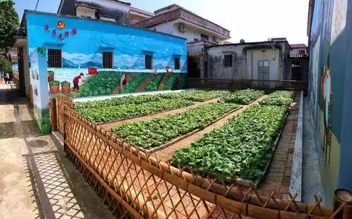 学校小菜园创意名字100个,幼儿园菜园名称