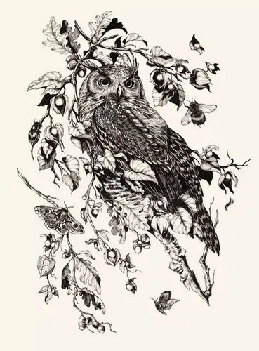 看看美国插画师teaganwhitehoneysorrow