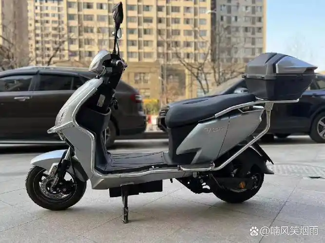 台铃新国标电动车 9新银灰台铃小豹子(可以过户),60v20a电池,续航四五