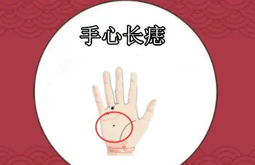 原创身体4颗靠山痣个个聚财颗颗掌权万里挑一的金贵命