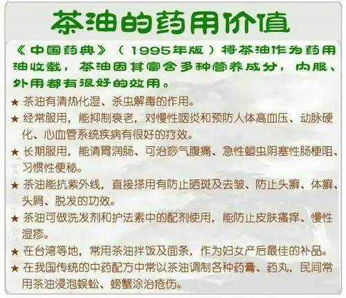 我的美篇(副本)