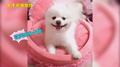 400_225gif 动态图 动图