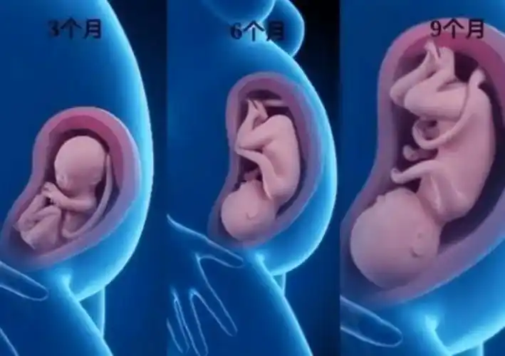 怀孕后如果是这三种"体型",说明胎儿状况良好,孕妈不用担心