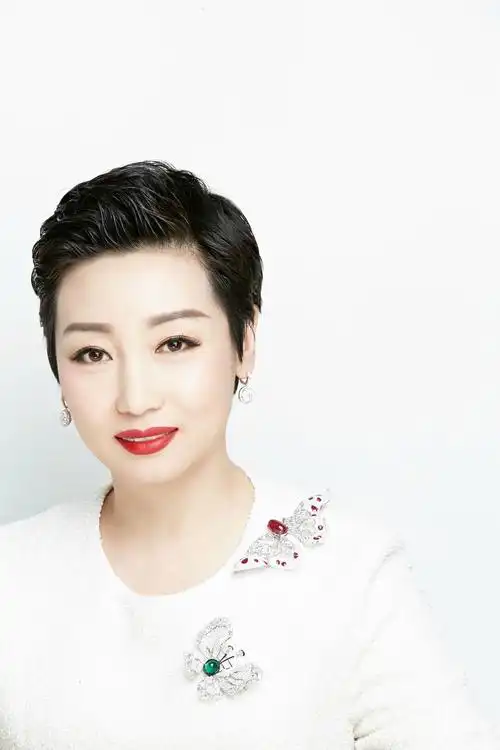 国美控股集团ceo杜鹃重新定义零售关于黄光裕家庭股权之争