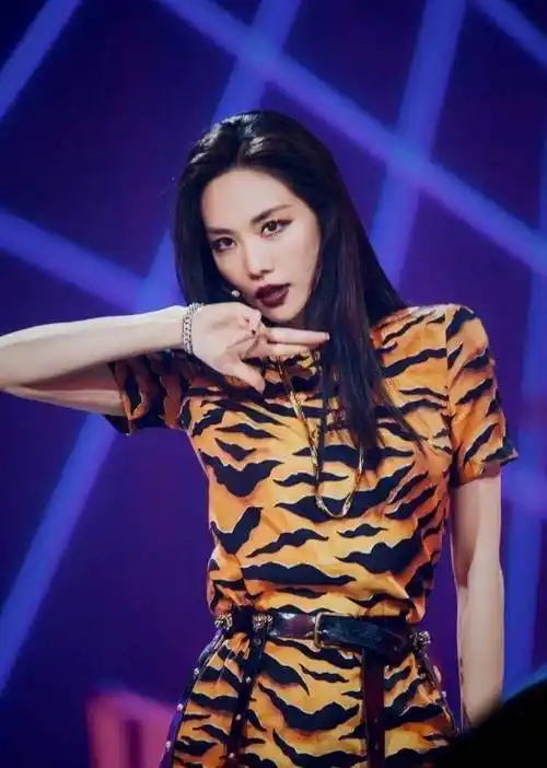 孟佳的前队友和好闺蜜王霏霏,就是其中的代表.