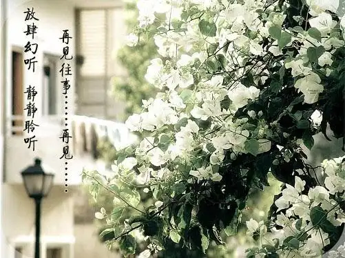 3再见往事,再见 林海的心灵钢琴《爱情风华》dj:孙潇毅