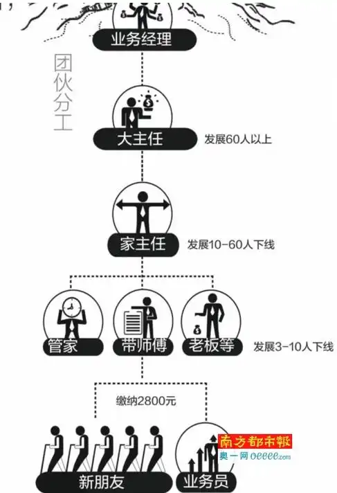 佛山最大传销案背后的利益链及运作模式解析