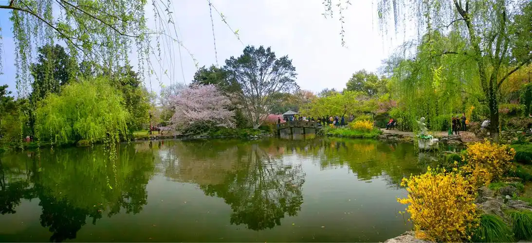 西湖十景之一花港观鱼05