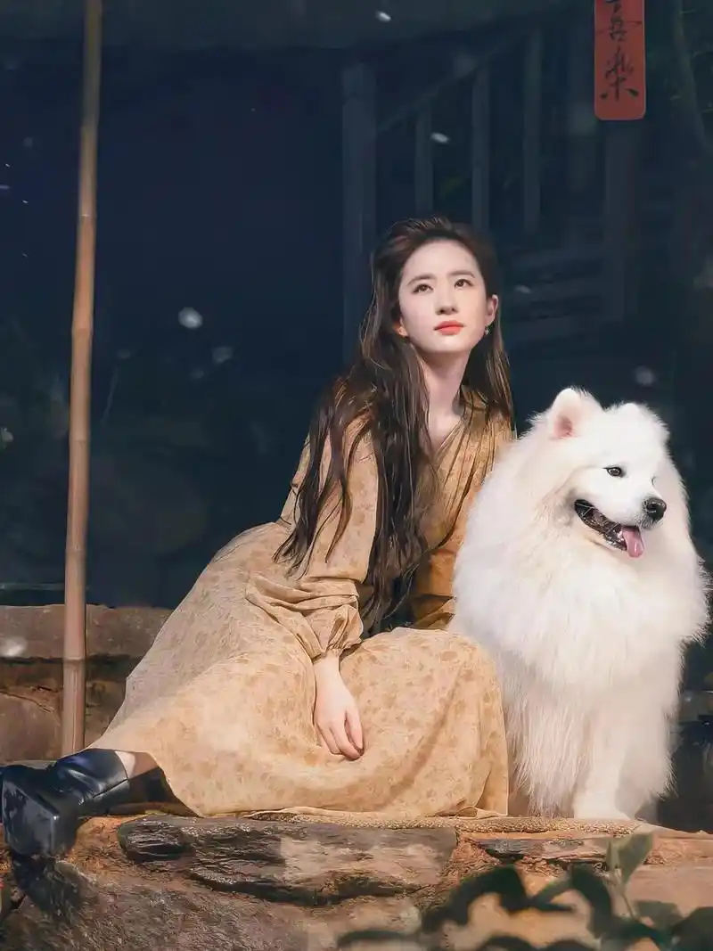 《去有风的地方》刘亦菲松弛感穿搭指南,照着穿美翻了!