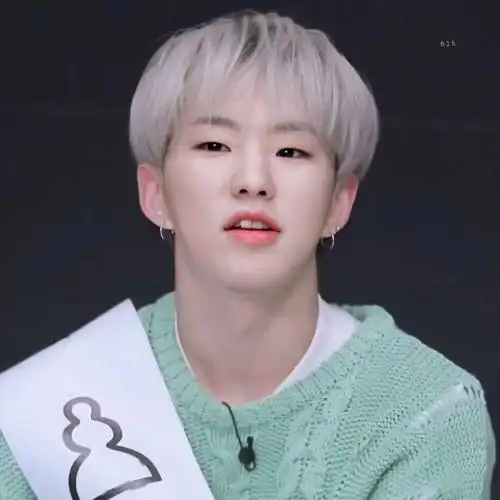 微信头像seventeen权顺荣