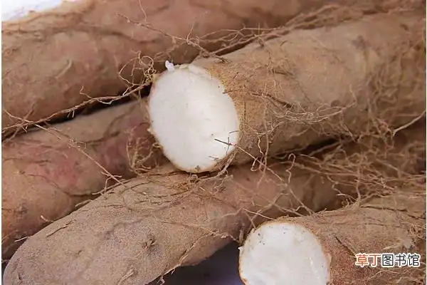 淮山药图片大全_淮山