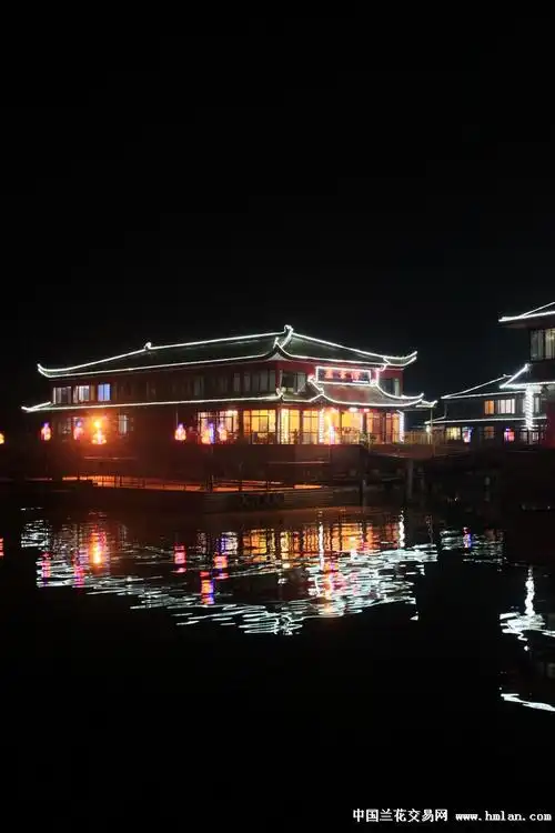 美在长荡湖夜景欣赏