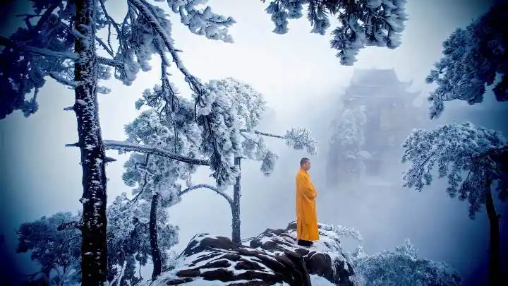 好摄之友,如果你的照片有禅意,请来参赛!