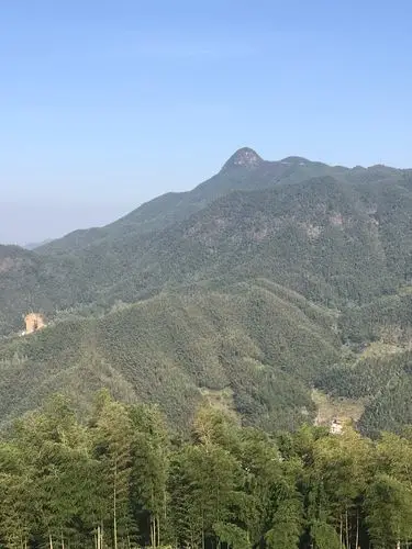 宜春仰山栖隐禅寺游