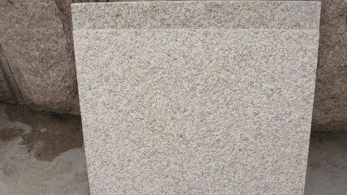 【黄金麻荔枝面--山东黄金麻生产基地】生产供应商厂家_今日行情价格