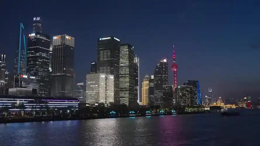 上海外滩夜景手持拍摄街景霓虹灯视频素材